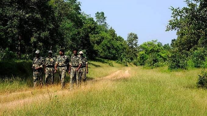 MP's Sagar: Deputy Ranger, Forest Guard Attacked With Stones And Sticks While Stopping Cultivation On Forest Land In Shahgarh; 3 Booked