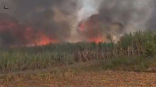 Fire Destroys Sugarcane Crop Across 52 Acres In Latur Village, Farmers Demand Compensation