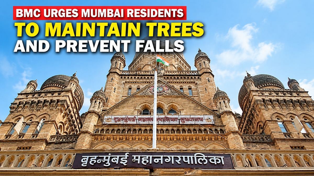 Mumbai: BMC Urges Residents And Housing Societies To Maintain Trees And Prevent Falls