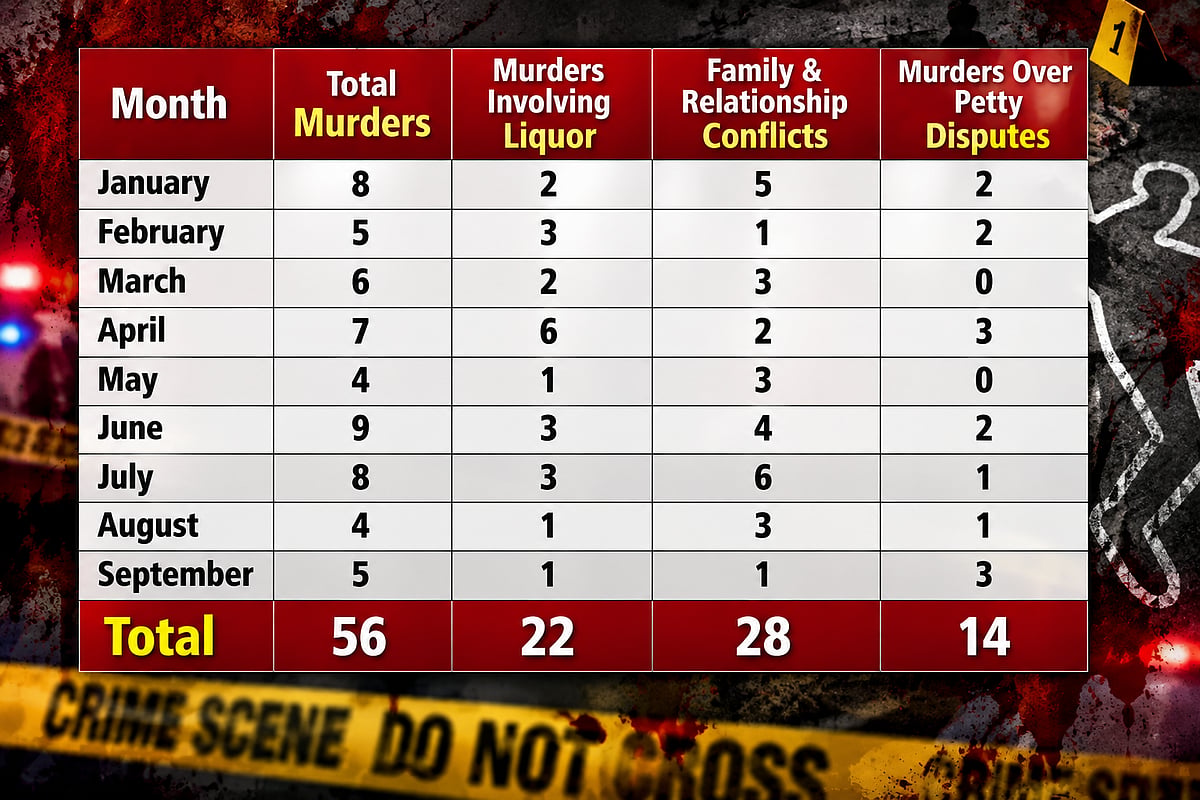 Some cases fell into more than one category, showing that several factors can contribute to a single incident.