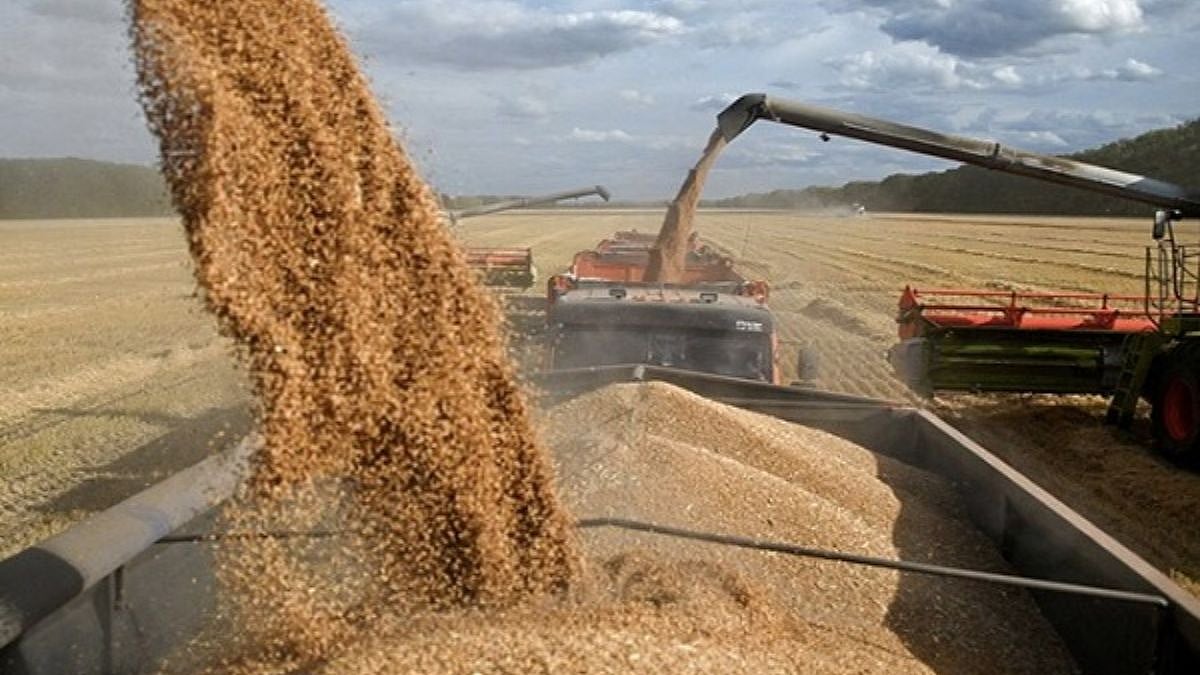 IIT Kharagpur Develops Advanced Foodgrain Processing Technology To Boost Efficiency, Cut Processing Time And Minimise Grain Losses