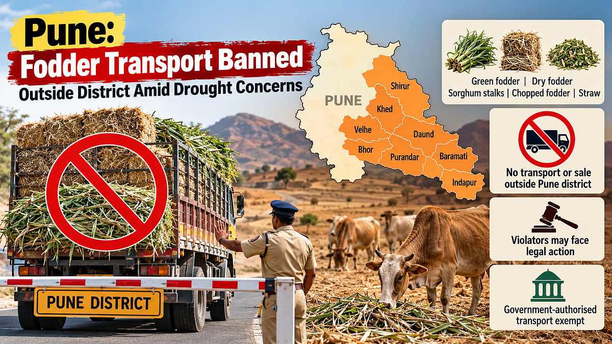 Pune: Collector Bans Fodder Transport Outside District Amid Drought Concerns In Eight Talukas