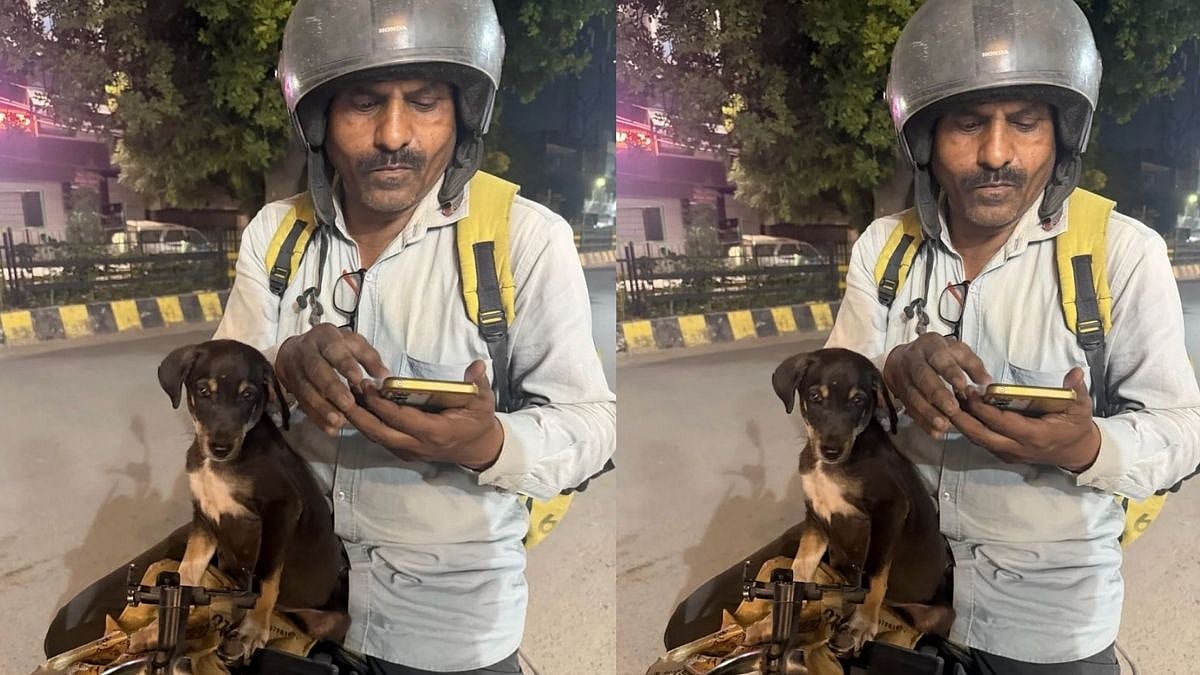 So Wholesome! Mumbai Blinkit Delivery Partner Wins Hearts After Rescuing Injured Puppy; Dog Now Joins Him On Delivery Runs - VIDEO 