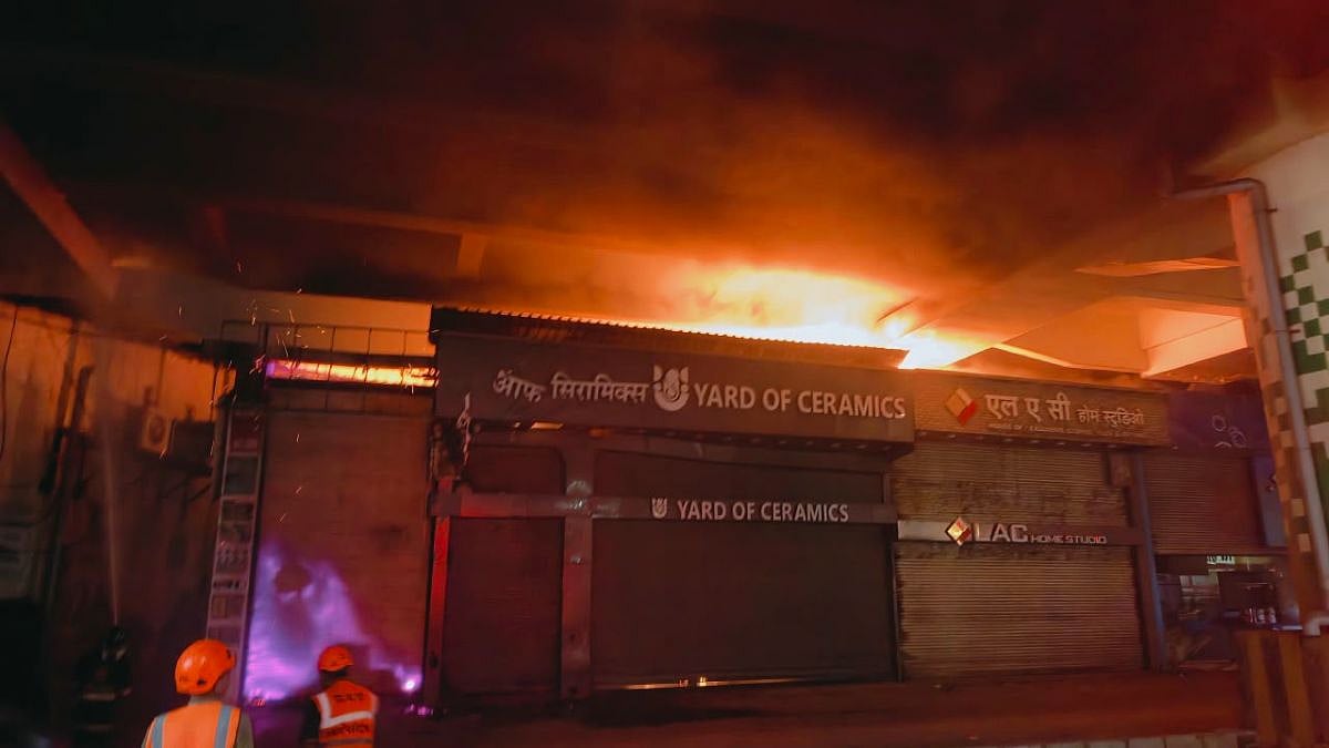 Thane Fire: Massive Blaze Damages 4 Warehouses In Shil-Diva, Brought Under Control; No Casualties Reported