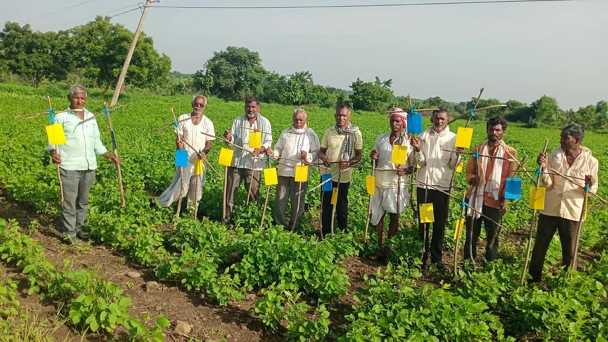 12 Latur Farmers Save ₹2.3 Lakh Through Collective Harvesting 