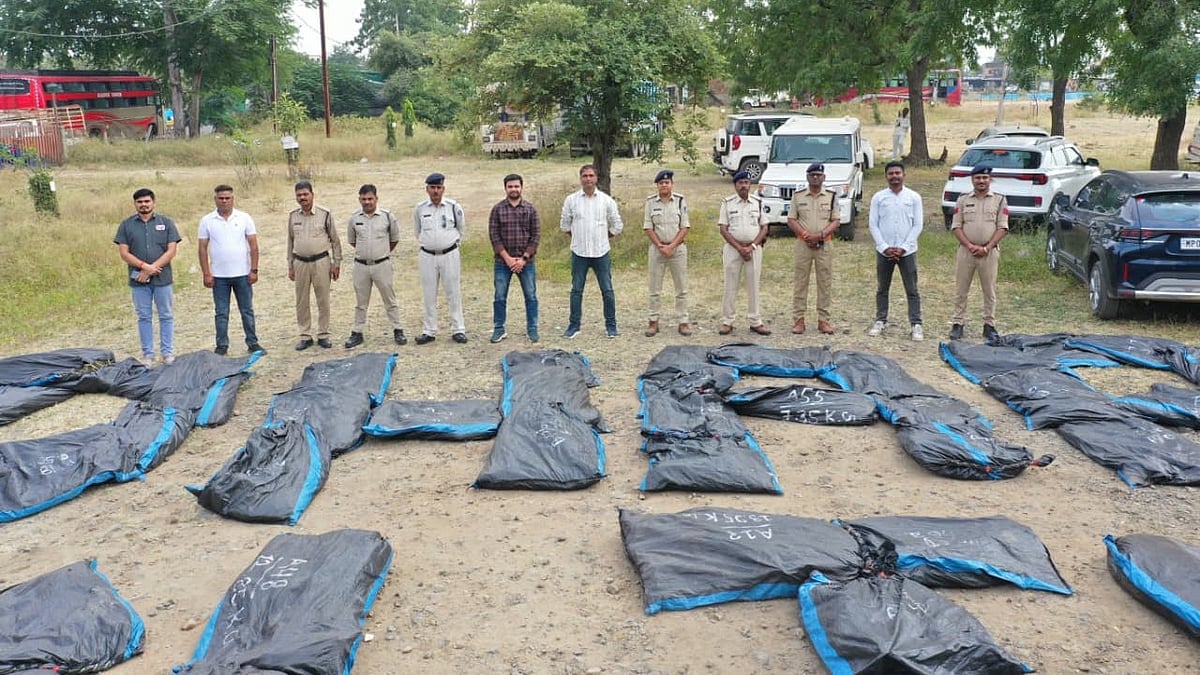 MP's Dhar Police Seize Cannabis Worth ₹4.43 Crore, Drones Uncover 3,345 Hidden Plants In Forest