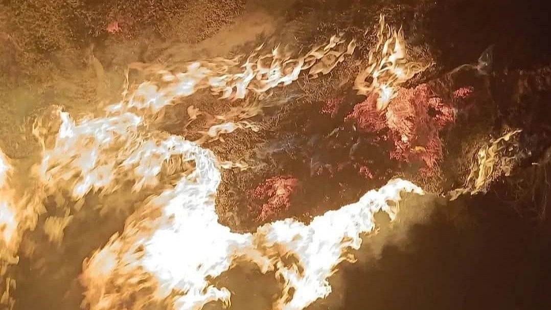 Beed: Soybean Worth ₹11 Lakh Gutted In Fire In Kaij; 2 Booked