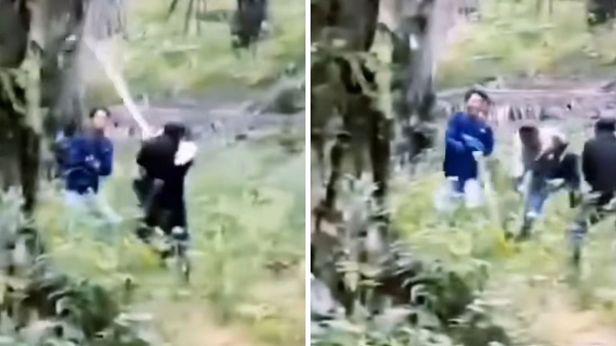 Kerala: Video Shows Youngsters Using Live Indian Rock Python To Play Jump Rope