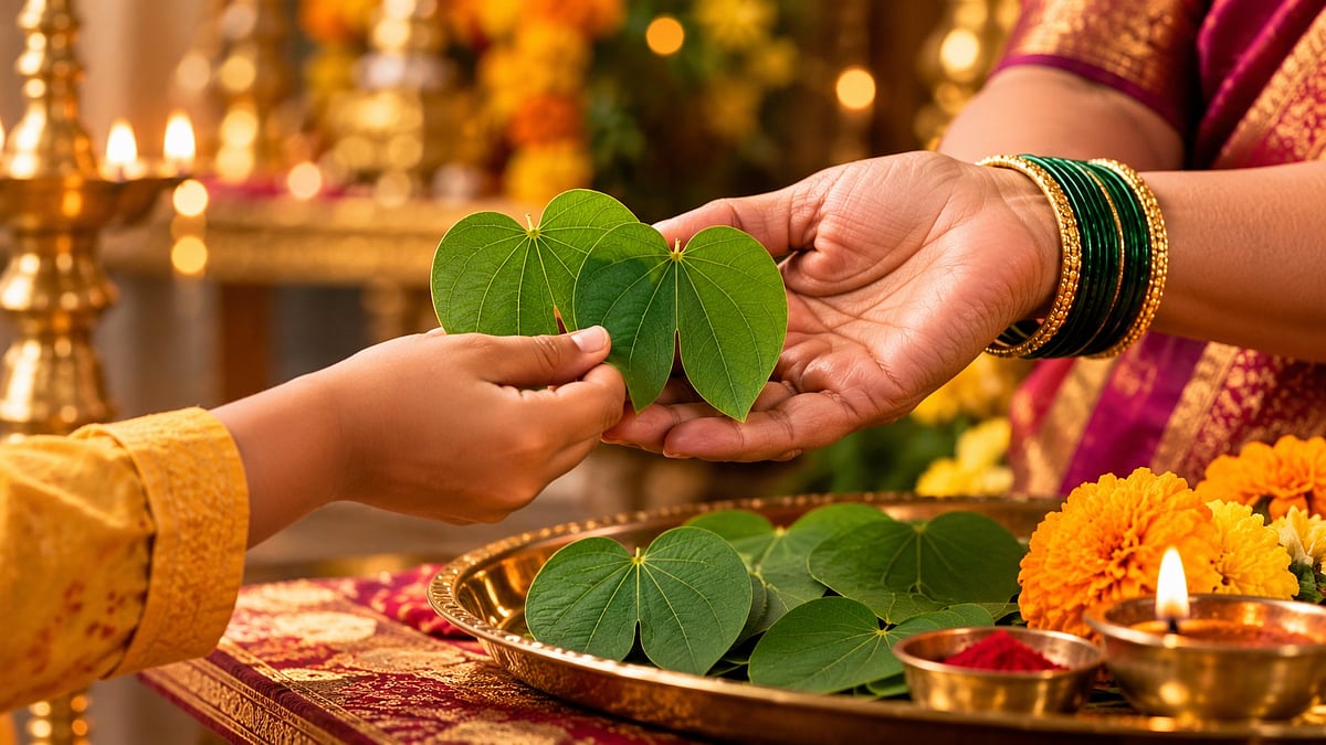 Dussehra 2026: Know Why Maharashtra Exchanges Apta Leaves As ‘Gold’ And The Story Behind The Tradition