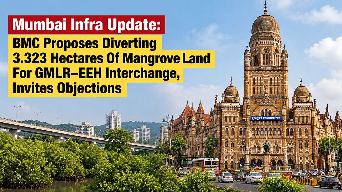 Mumbai Infra Update: BMC Proposes Diverting 3.323 Hectares Of Mangrove Land For GMLR–EEH Interchange, Invites Objections