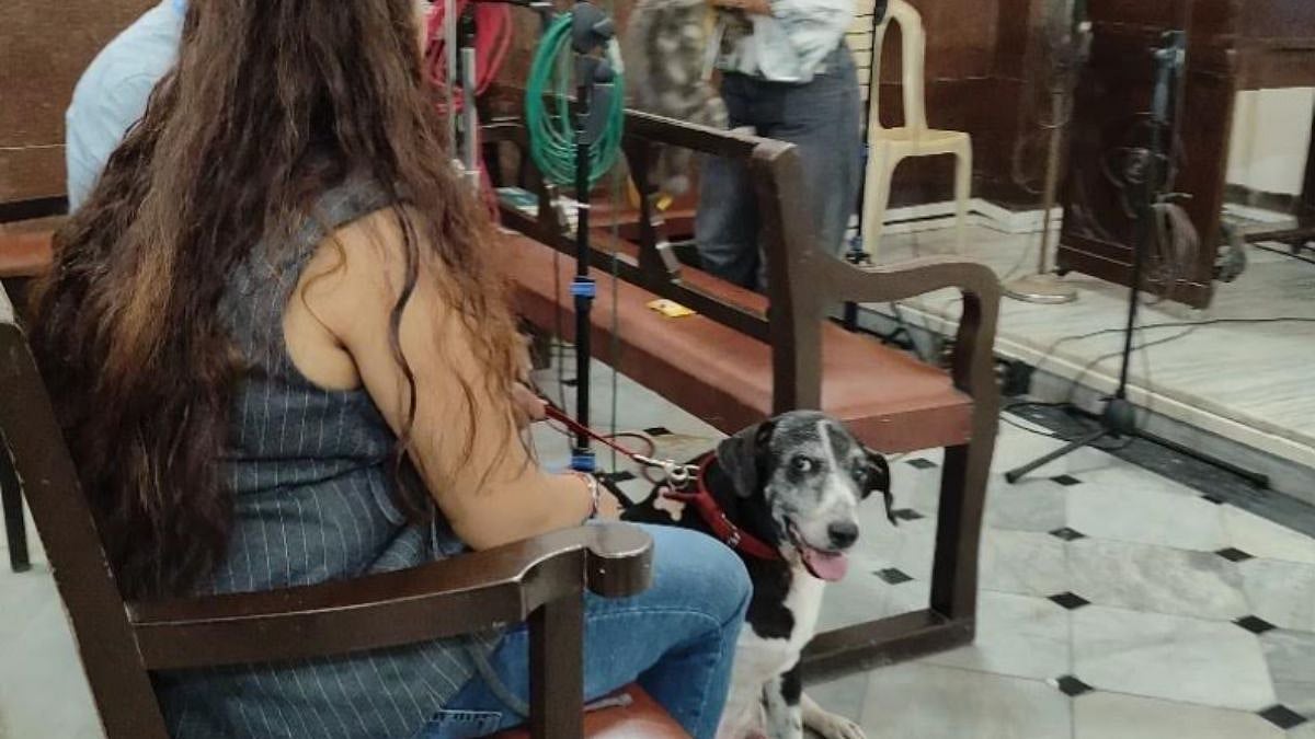 India Sees Growing Openness To Pet Adoption, But Medical History And Household Compatibility Remain Hurdles