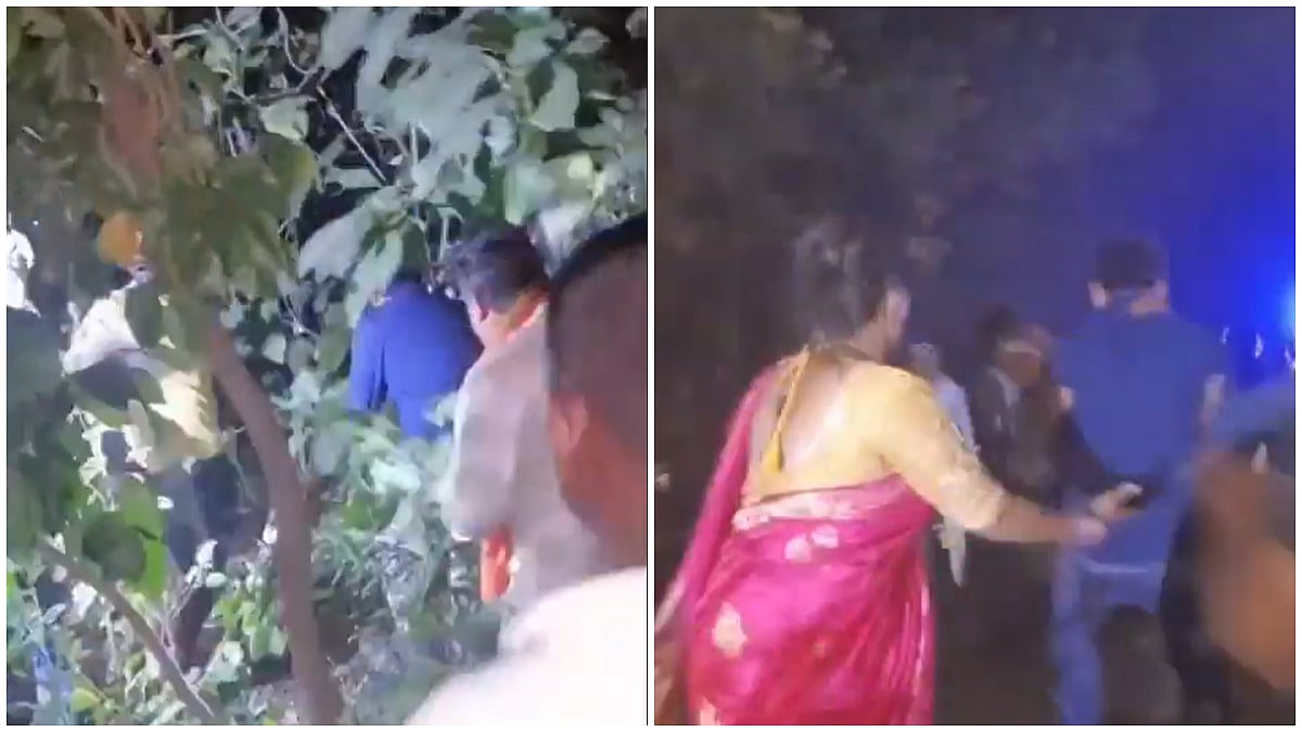 Chandrapur Horror As Leopard Drags 9-Year-Old Hyderabad Boy Into Bushes, Hundreds Join Midnight Rescue