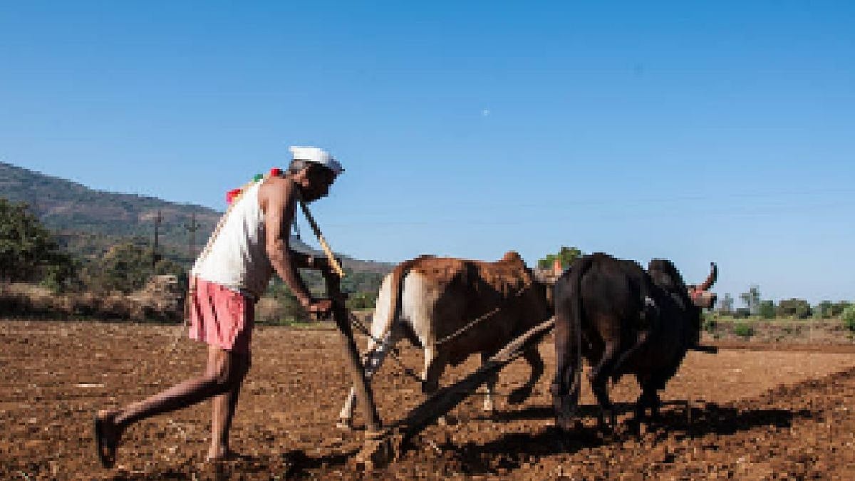 Maharashtra's 12-Point Relief Package For Drought-Hit Farmers Falls Short Of Addressing Crisis, Say Activists