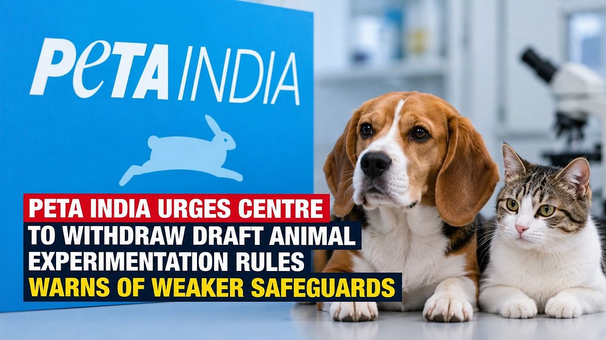 PETA India Urges Centre To Withdraw Draft Animal Experimentation Rules, Warns Of Weaker Safeguards