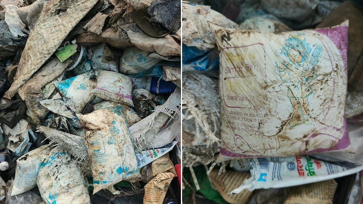 Navi Mumbai: Around 100 Branded Milk And Curd Packets Found Dumped In Nerul Mangroves Amid FDA Crackdown