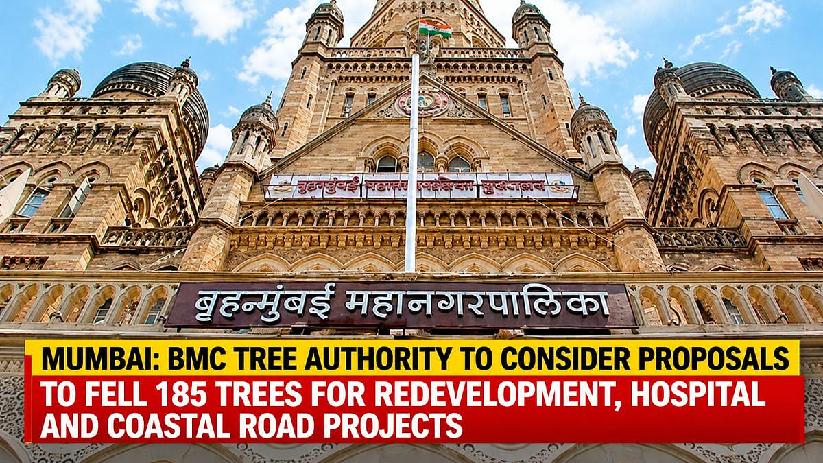 Mumbai: BMC Tree Authority To Consider Proposals To Fell 185 Trees For Redevelopment, Hospital And Coastal Road Projects