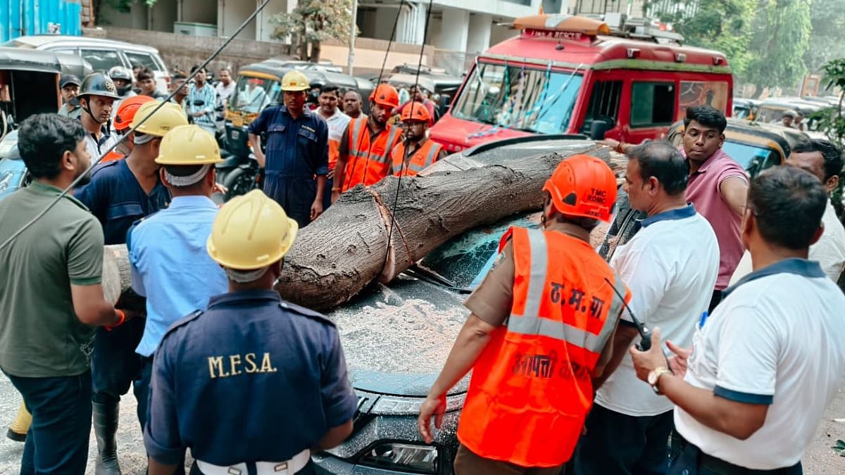 Thane Tree Collapse: Two-Wheeler Rider Severely Injured, 3 Vehicles Damaged In Vartak Nagar