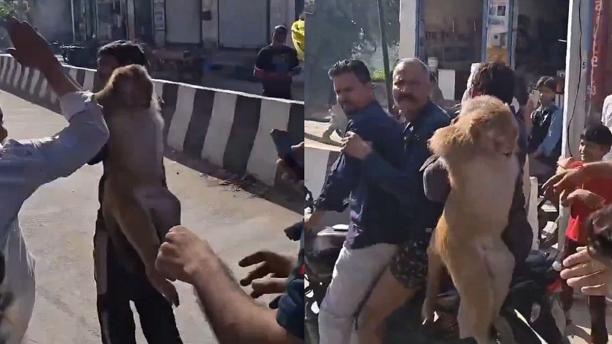 Monkey Captured, Beaten & Paraded Through Haryana Street; Viral Video Leaves Netizens Enraged - WATCH 