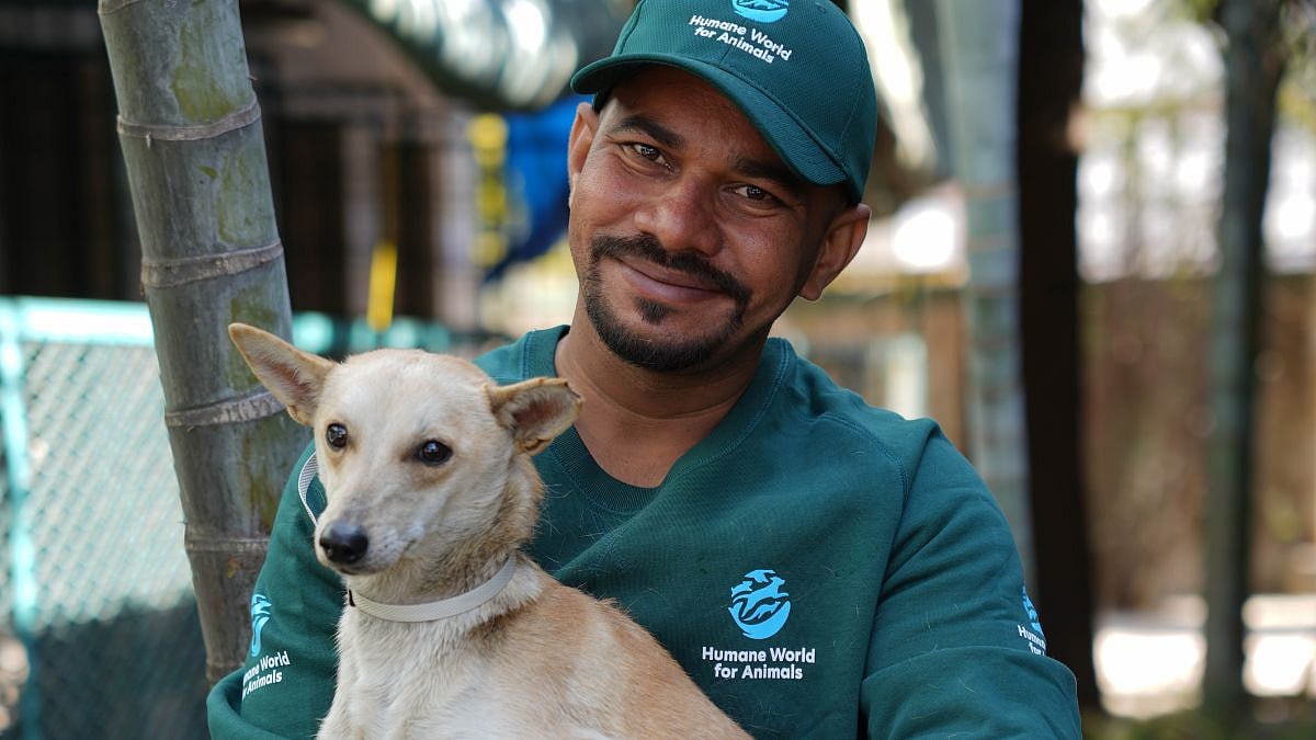 Higher Sterilisation Coverage & Community Engagement Can Help Reduce Human-Dog Conflict, Highlights Humane World For Animals India Report