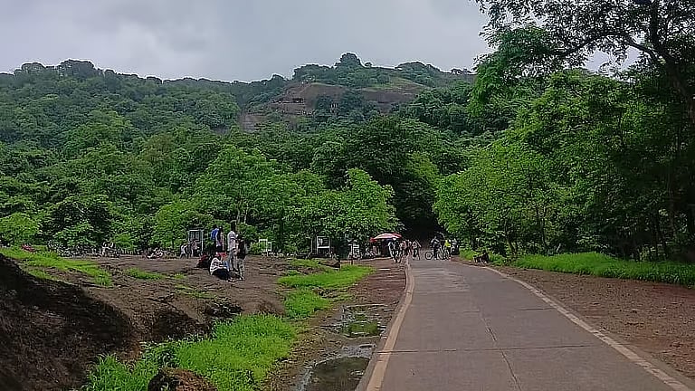 Mumbai Sanitation Worker Accidentally Killed In Alleged SGNP Boar Hunt; Police Suspect Body Cremated Without Post-Mortem