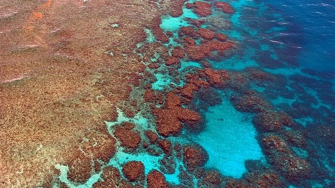 'Off The Charts' WMO Warns Of Exceptionally Strong El Niño As Pacific Ocean Temperatures Hit Record Highs