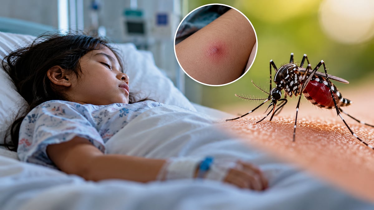 Pune: 9-Year-Old Girl Dies Of Suspected Dengue Within 48 Hours Of Hospitalisation