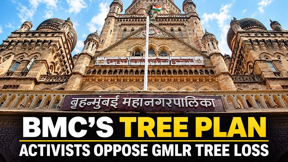 Mumbai: BMC Proposes Cutting 695 Trees, Transplanting 666 For Goregaon-Mulund Link Road Project