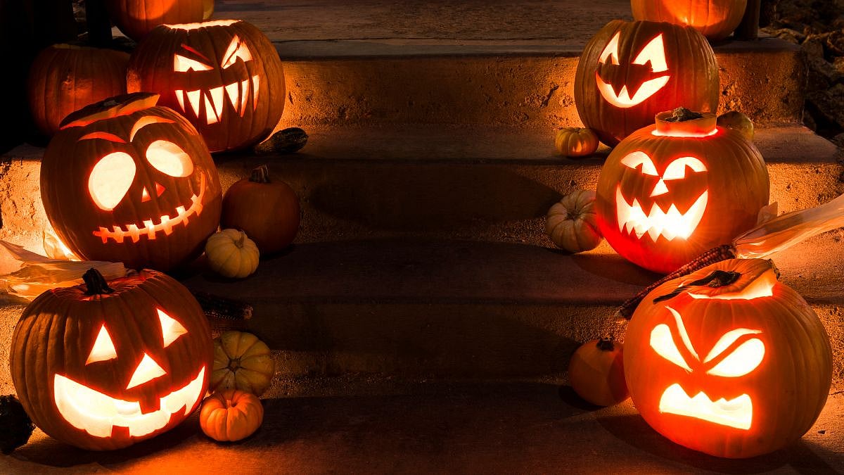 Why Pumpkins Hold A Special Place In Halloween Celebrations; Here's To Know Everything