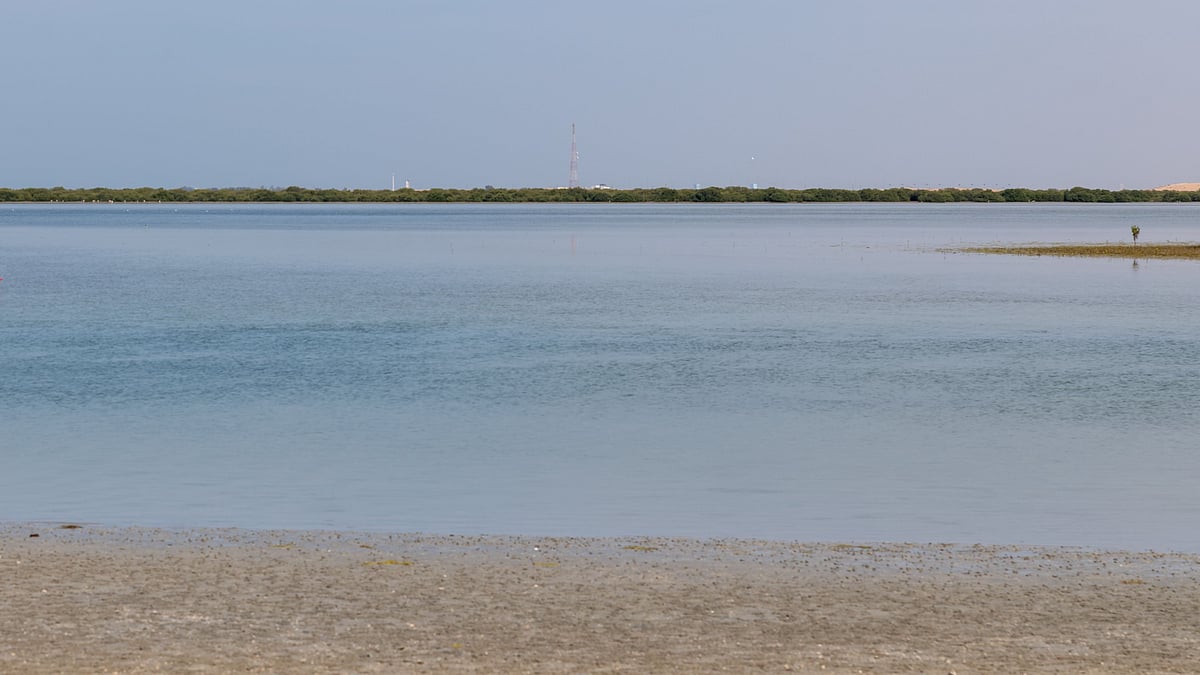UAE Shuts Beaches In Umm Al Quwain After Tanker Oil Spill, Residents Report Fuel-Like Odours