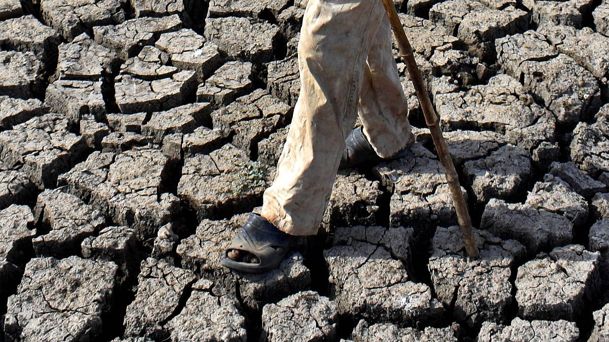 Amid Drought, Maharashtra Approves ₹4 Crore To Send 180 Farmers, Officials On Study Tours Aboard