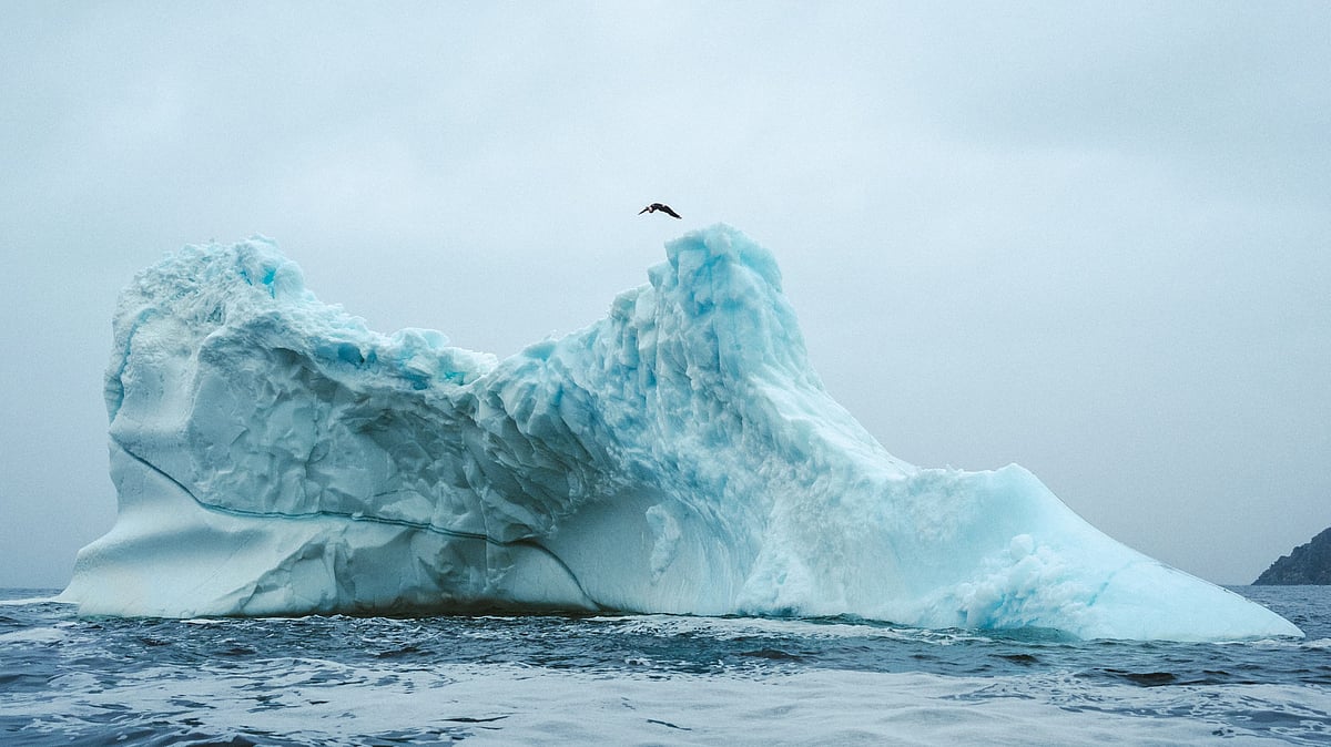 'Scariest Thing I've Ever Done': Canadian High Diver Becomes First Woman To Dive-Off A Free-Standing Iceberg