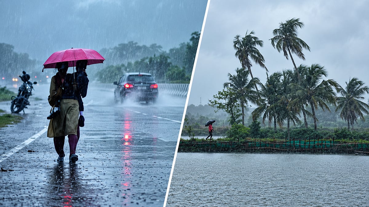 Kerala Heavy Rains October 25: IMD Issues Red Alert In 3 Districts, Schools & Tourist Spots Shut