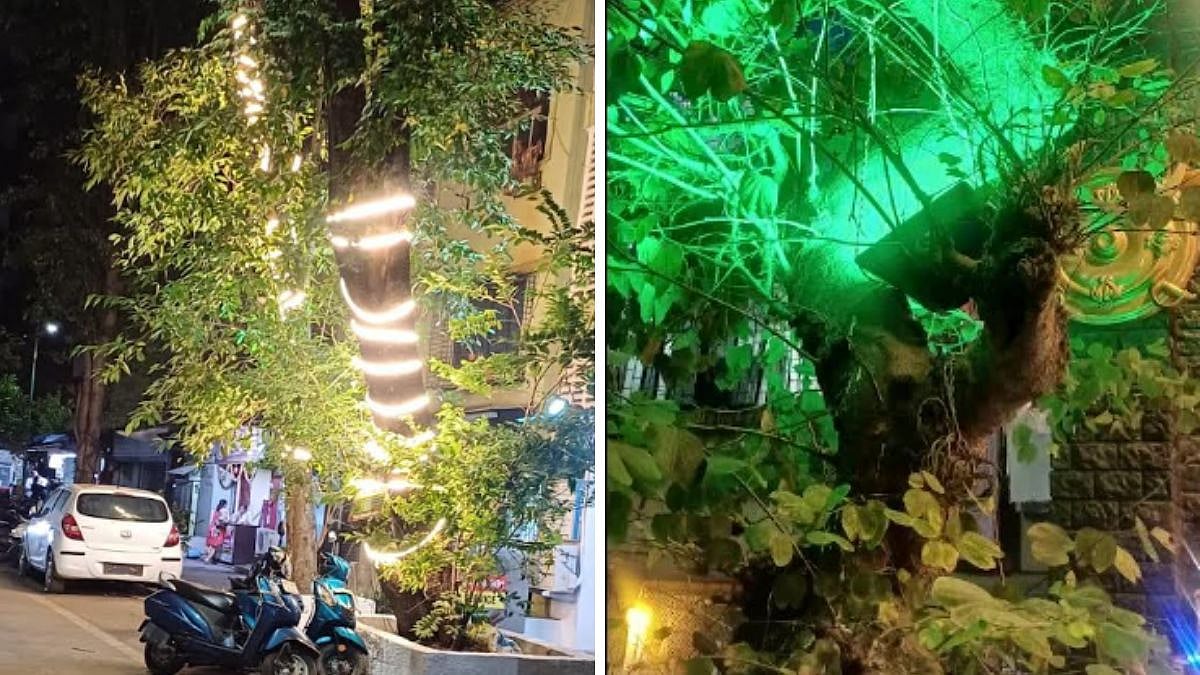 Festive Lights, Silent Plight: Thane’s Trees Choke Under Decorative Glare As Environmentalists Demand Total Ban