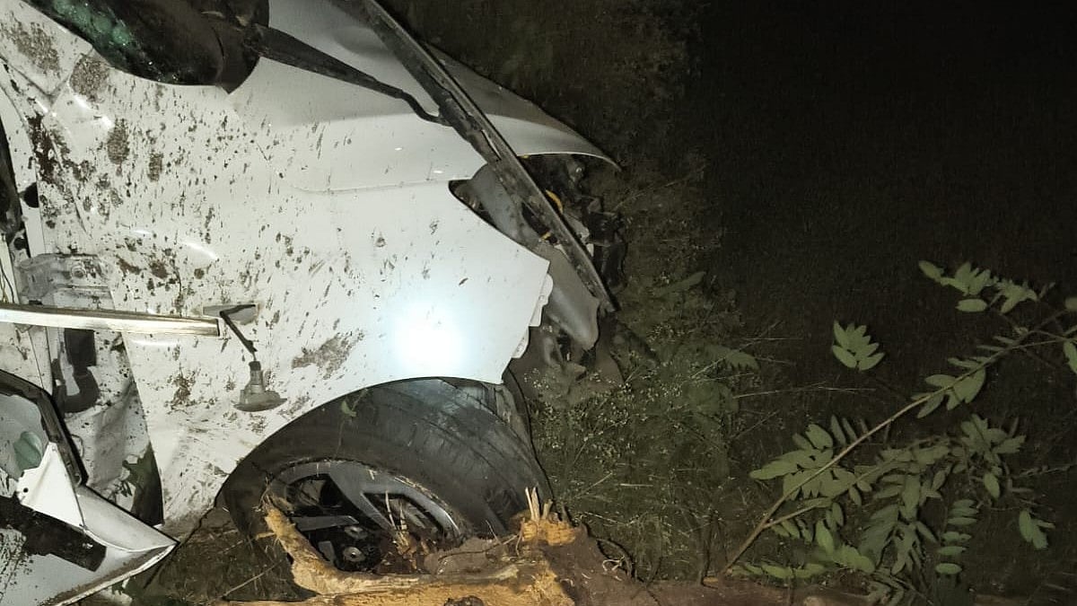 MP Road Accident: 2 Killed, 4 Injured As Speeding Car Hits Tree, Overturns Into Ditch In Dhar; 3 Critical