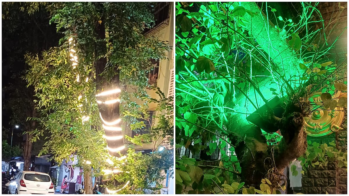 Thane's Trees Strangled By Festive Decorative Lights As Environmentalists Demand Complete Ban