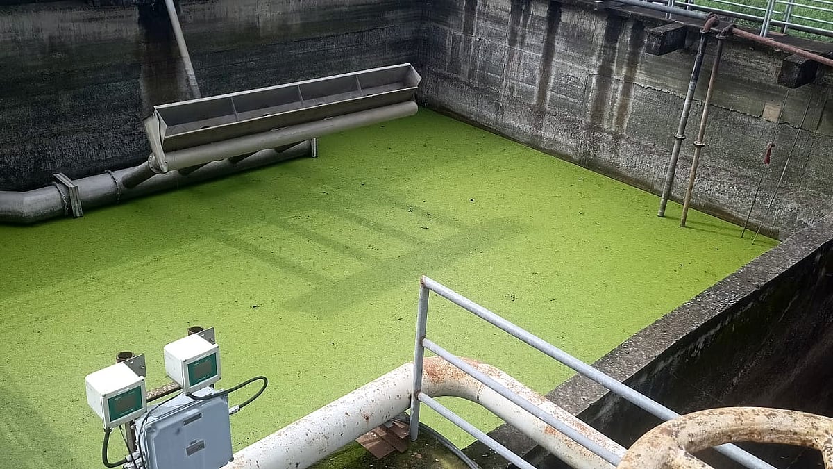 NGT Takes Suo Motu Cognisance Of BHEL Sewage Treatment Plant's Reported Six-Month Shutdown In Bhopal, Orders Probe Into Pollution Concerns