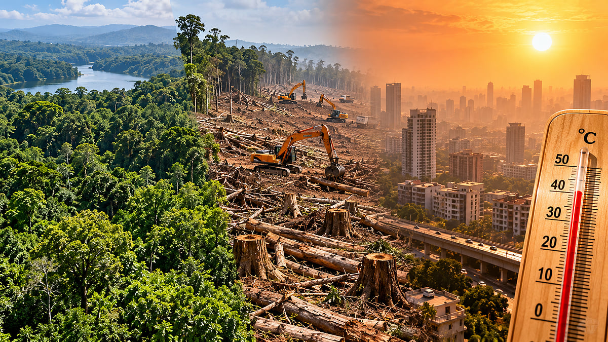 India’s Green Cover Shrinks By 5.6 Percentage Points In 25 Years, Worsening Summer Heat: Study