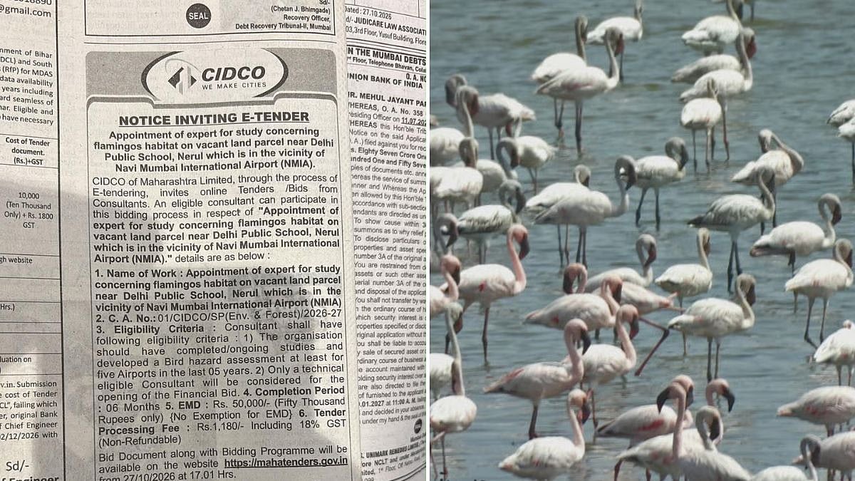 Navi Mumbai: Environmentalists Slam CIDCO For Calling DPS Flamingo Lake 'Vacant Land' In Habitat Study Tender