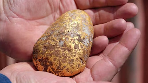 'He Got So Lucky': Australia Man Finds 1.2 Kg Gold Nugget Worth Over $150,000 In Outback