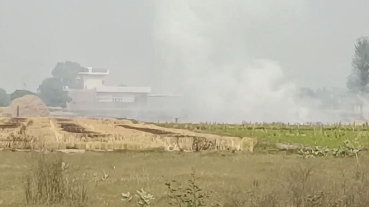 Punjab Records 717 Stubble Burning Incidents, Tarn Taran Tops District Count With 318 Cases As Authorities Intensify Crackdown | Watch