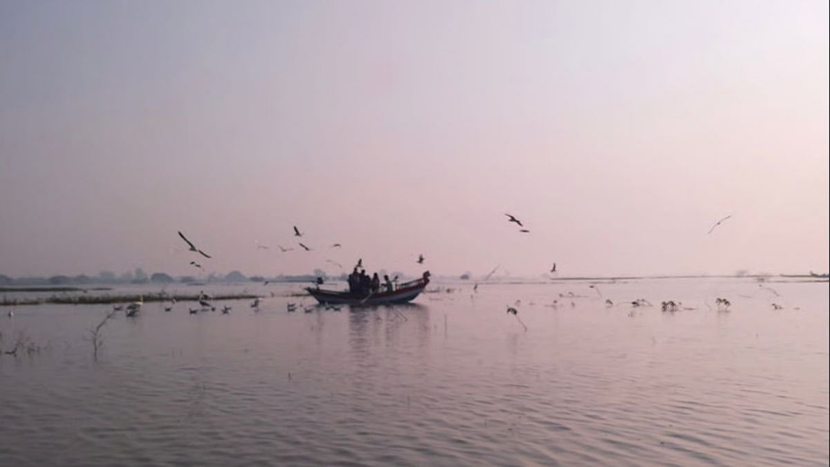 Thane Creek Bridge III: Bombay HC Sets Up Task Force To Decide Compensation For Fishers, Says TISS Report Not Scientific