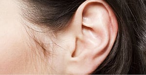 Lab miracle yields bionic ear