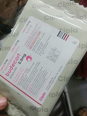 article-image