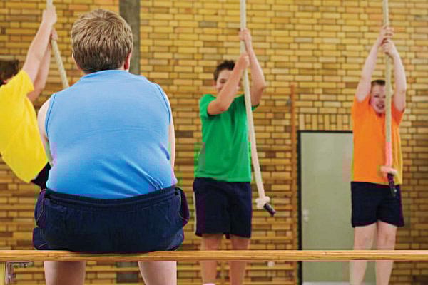 article-image