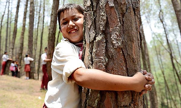 Thane: Publish tree census, issue proper detailed notices, Activist tell TMC’s Tree department