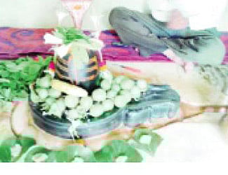 article-image