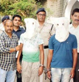 article-image