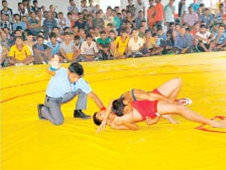 article-image