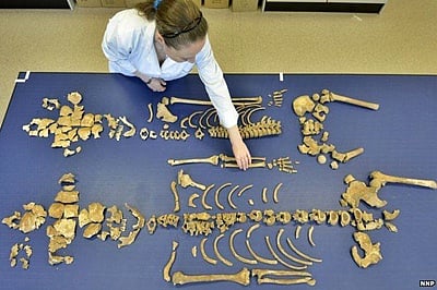Durham skeletons are of 17th century Scottish soldiers