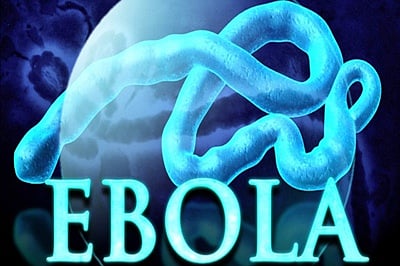 Ebola scare stigmatised African immigrants in the US